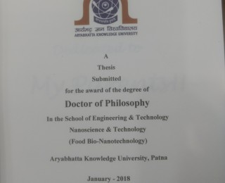 Ph.D. thesis-Aman